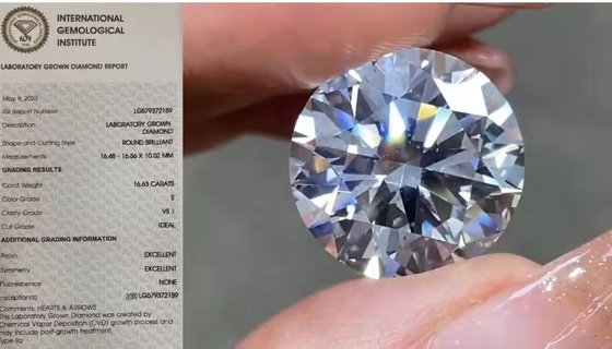 Лаборатория IGI свободная создала диаманты 16.63Carat VS1 вокруг цвета e