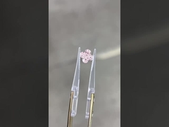 Лили Кот Розовый ЦВД Диамант